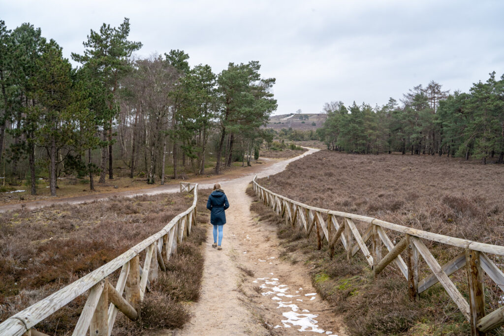 Wandelroute Archemerberg En Lemelerberg Echte Bergwandeling In